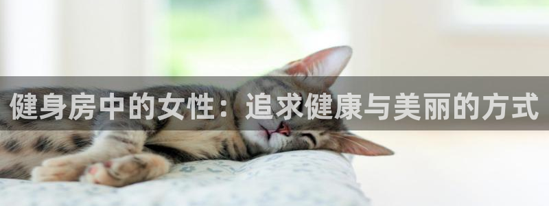龙8国际登陆