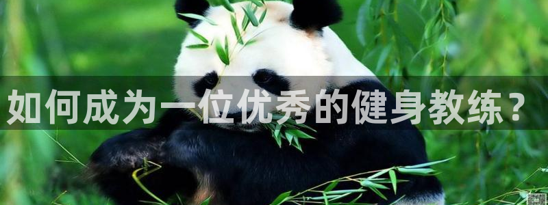 龙8国际官方网站-龙8国际pt老虎机