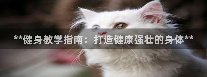 龙八国际服官网入口