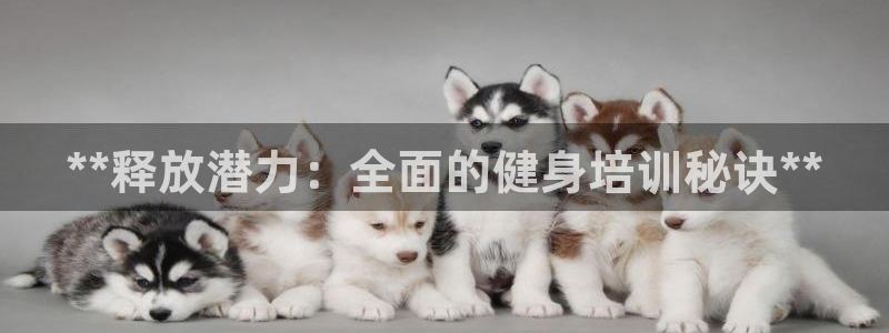 龙8国际2021官方网站pkufli5.10