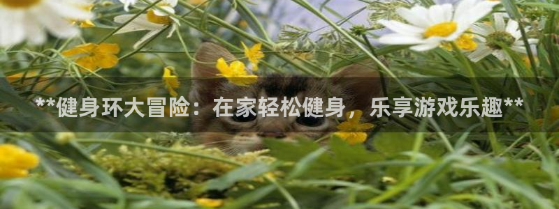 龙8国际手机官网下载安装