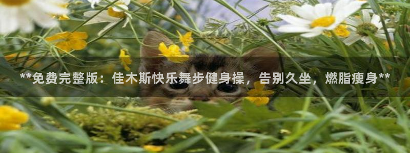 龙8国际app客户端下载不了