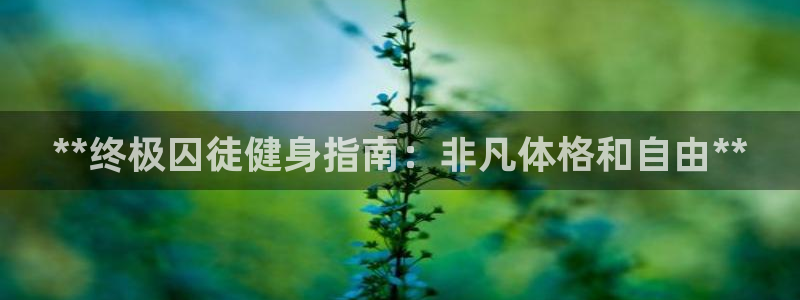 龙8游戏官网