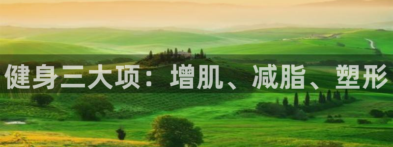 下载龙八国际官网