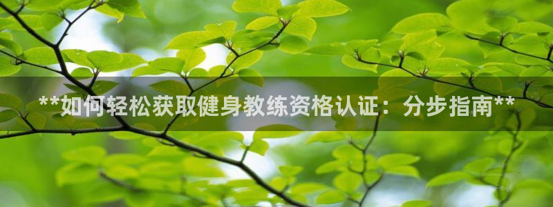 龙八国际服官网站
