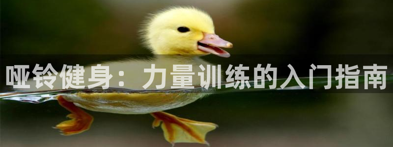 龙8国际官网正版