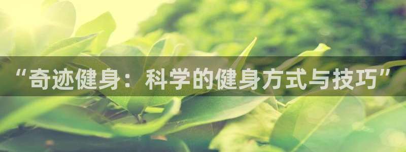 龙8国际安卓官方版fxzls-1.2.1 -安卓