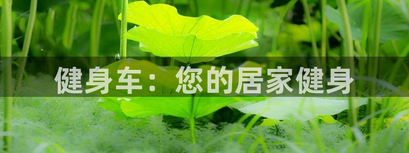 龙8国际平台