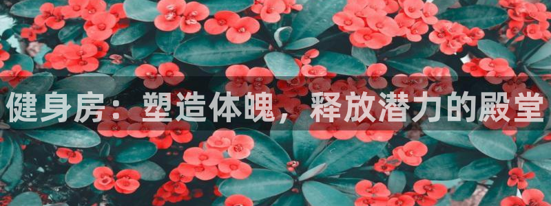 龙8国际是什么