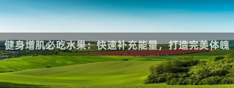 龙八国际pt