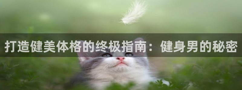 龙8国际为啥改名叫头号玩家了呢