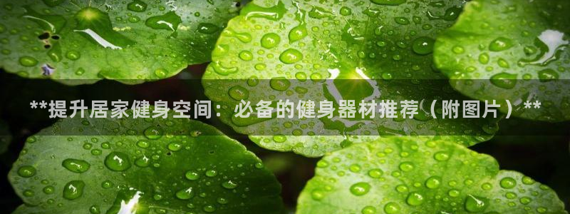 龙8国际棋牌