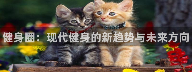 龙8国际官网点此进入游戏