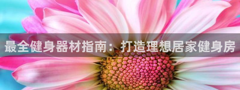 龙八国际娱乐老板是谁