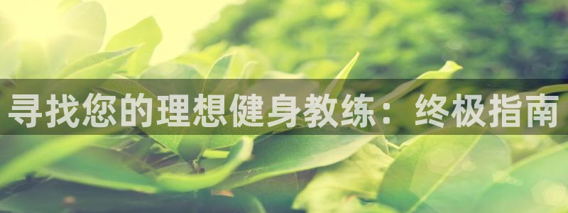 龙8国际平台