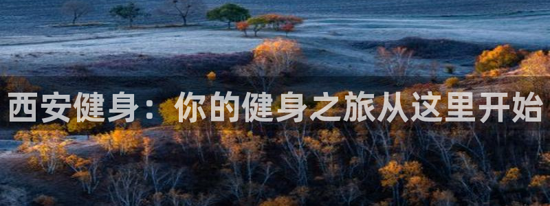 龙8国际app下载安装