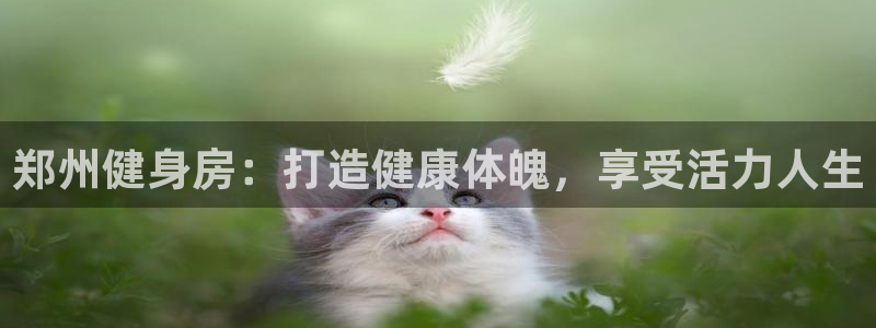 龙8国际2021官方网站pkufli1.291