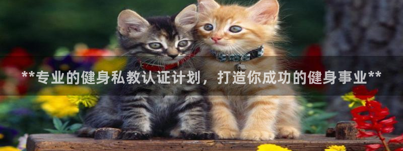 龙8国际娱首页