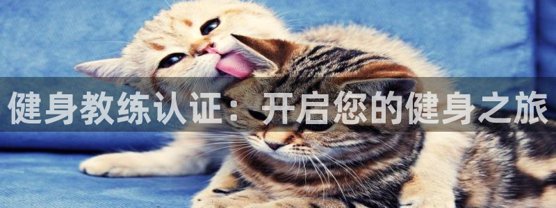 龙8国际唯一官网
