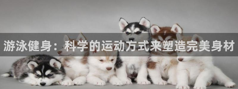 龙8游戏官方进入