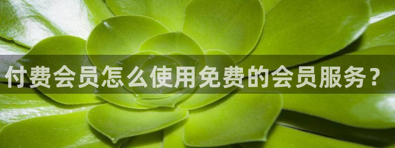 龙八国际服官网入口