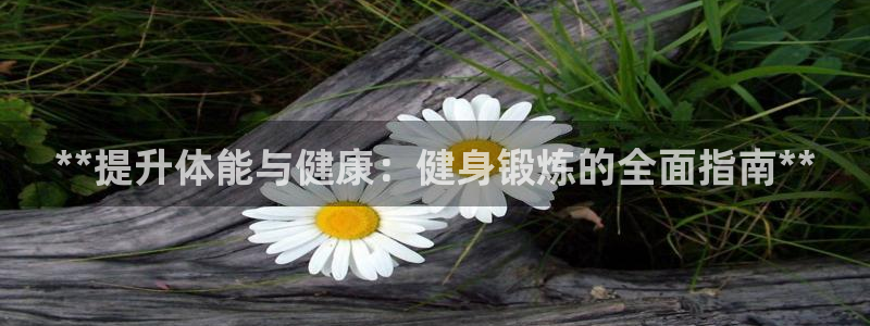 龙8国际安卓版版