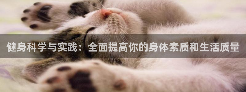 龙8国际龙8官方