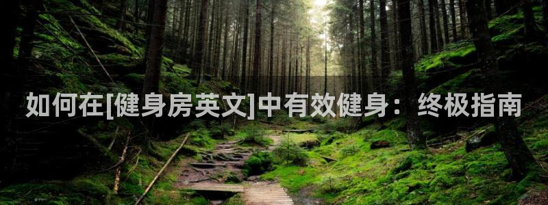 龙八国际娱乐老板是谁