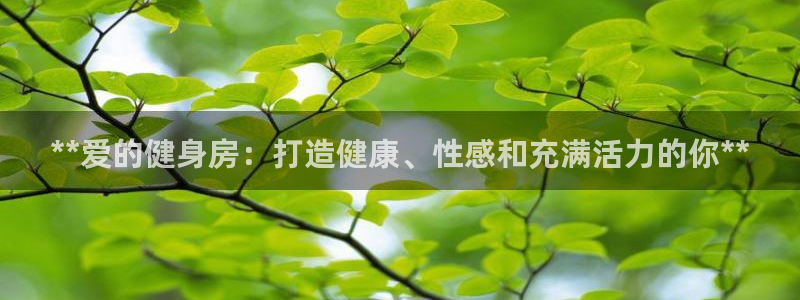 国际龙8唯一登陆