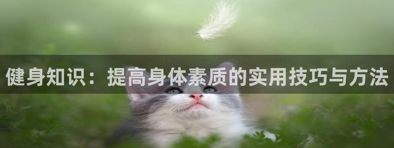 龙8国际官网娱乐