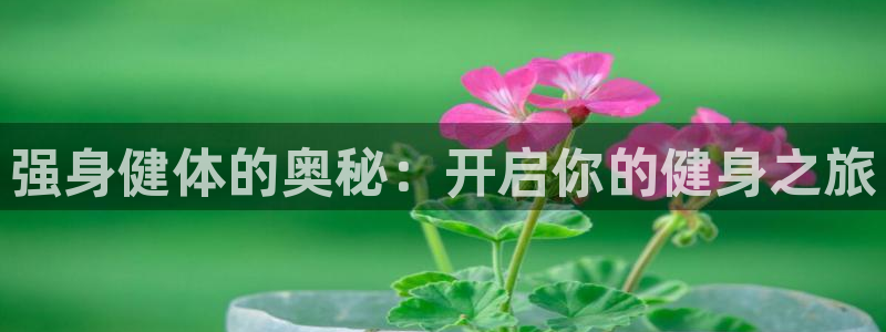 龙8国际唯一