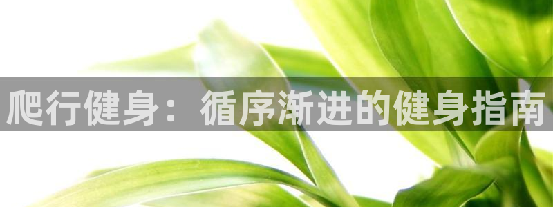 龙8国际老虎机官网