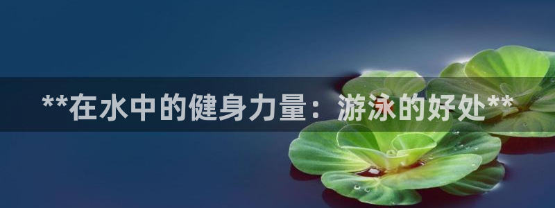 龙八国际下载链接