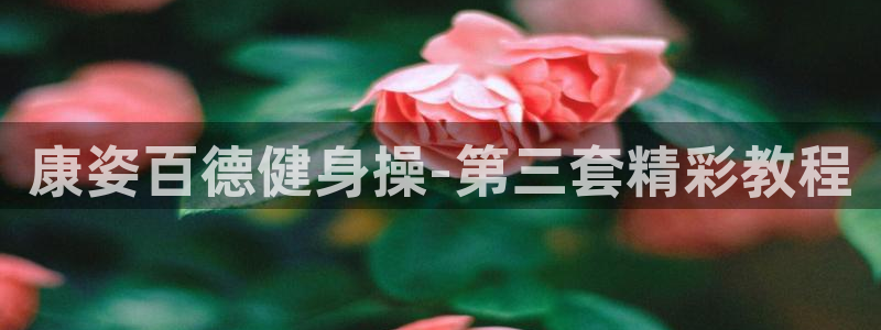 龙8国际2021年4.15更新版baoli