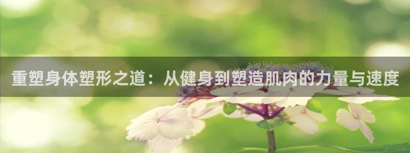 龙8国际官网多少