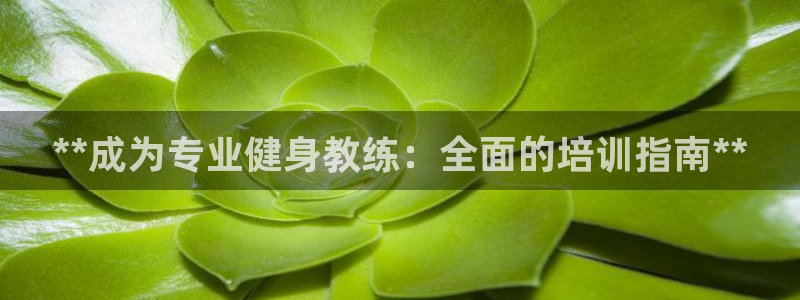 龙8国际官方网站
