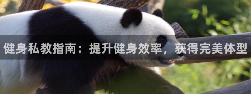 龙八国际服官网入口