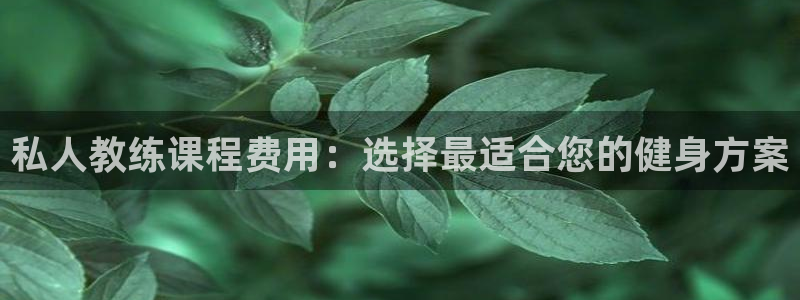 龙8国际手机版官网下载