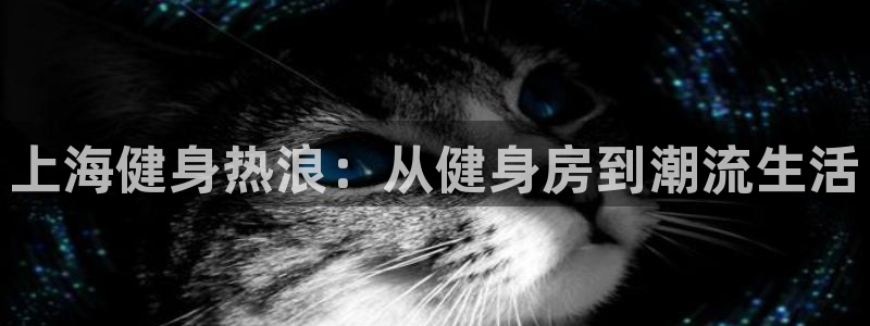 龙8国际手机登