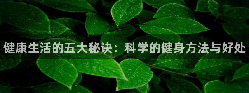 龙8国际电子平台