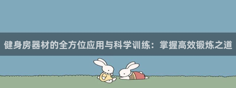 龙 八国际