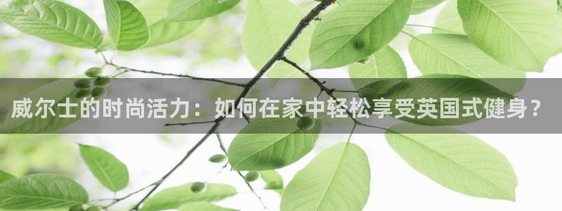 龙8国际现金