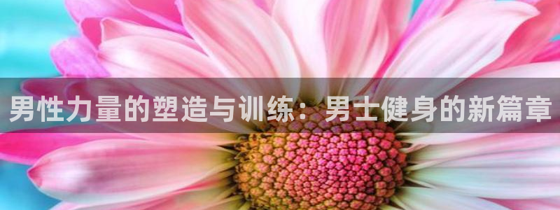 龙8国际app下载
