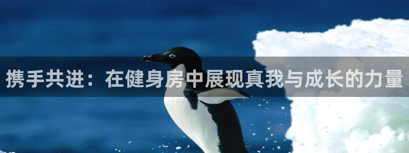 龙8国际-我的