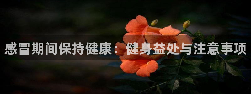 下载龙八国际官网