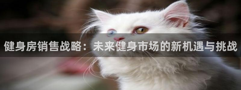 龙8国际官网版手机版