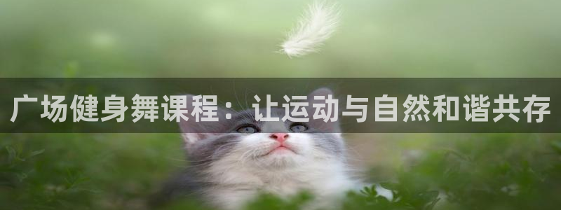 龙8国际app下载客户端